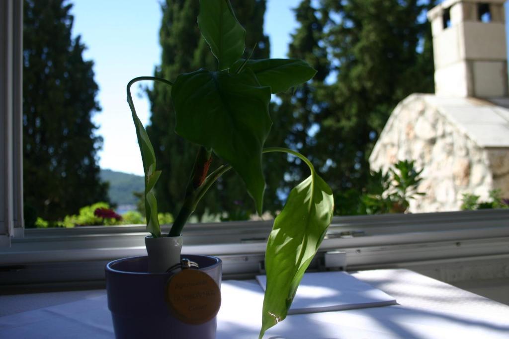 Apartments Dubrovnik Center Phòng bức ảnh